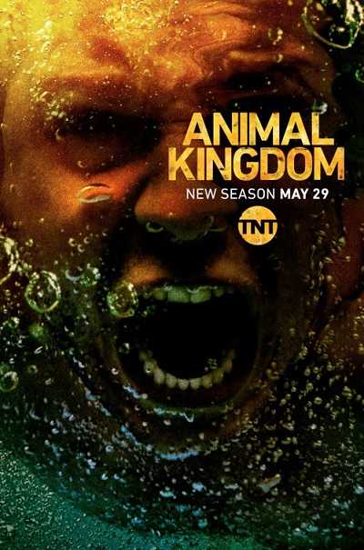 مسلسل Animal Kingdom الموسم 3
