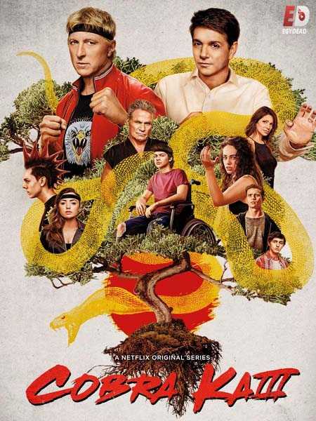 مسلسل Cobra Kai الموسم 3 مترجمة