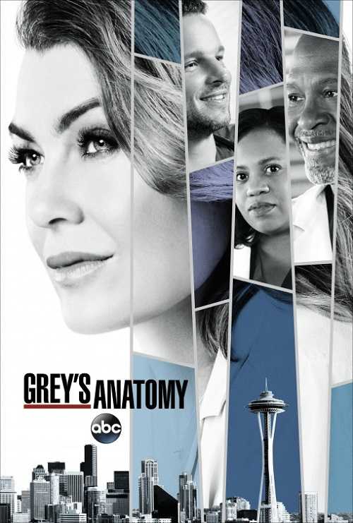 مسلسل Greys Anatomy الموسم 14