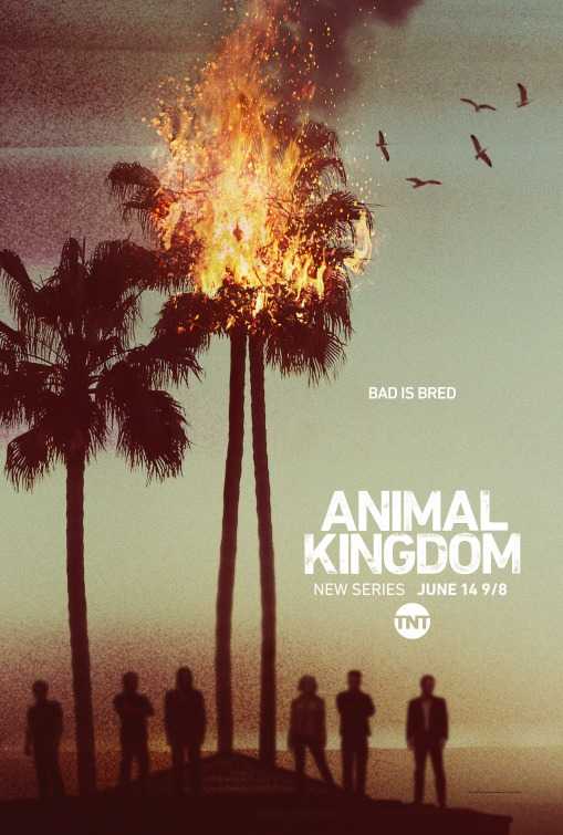 مسلسل Animal Kingdom الموسم 1