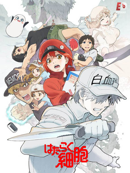 انمي Cells at Work الموسم 2 مترجمة