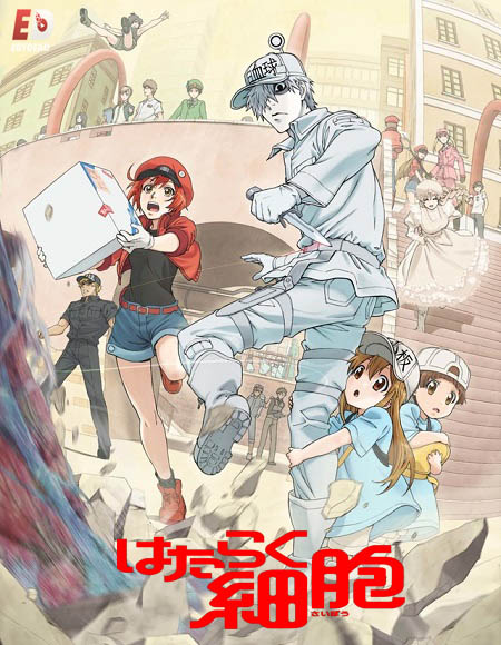 انمي Cells at Work مترجمة