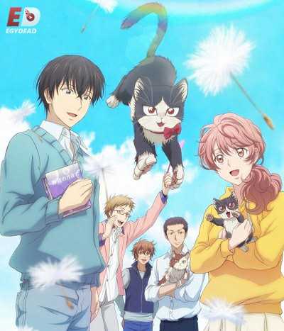 انمي Doukyonin wa Hiza Tokidoki Atama no Ue