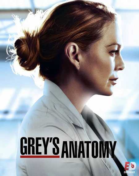 مسلسل Greys Anatomy الموسم 17