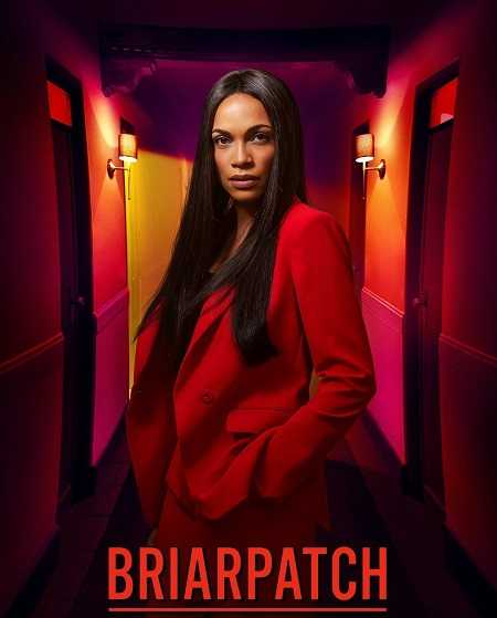 مسلسل Briarpatch الموسم 1 مترجمة