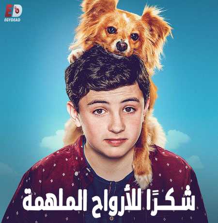 مسلسل The Healing Powers of Dude مترجمة